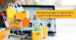 Online Handel - Den Wachstum managen