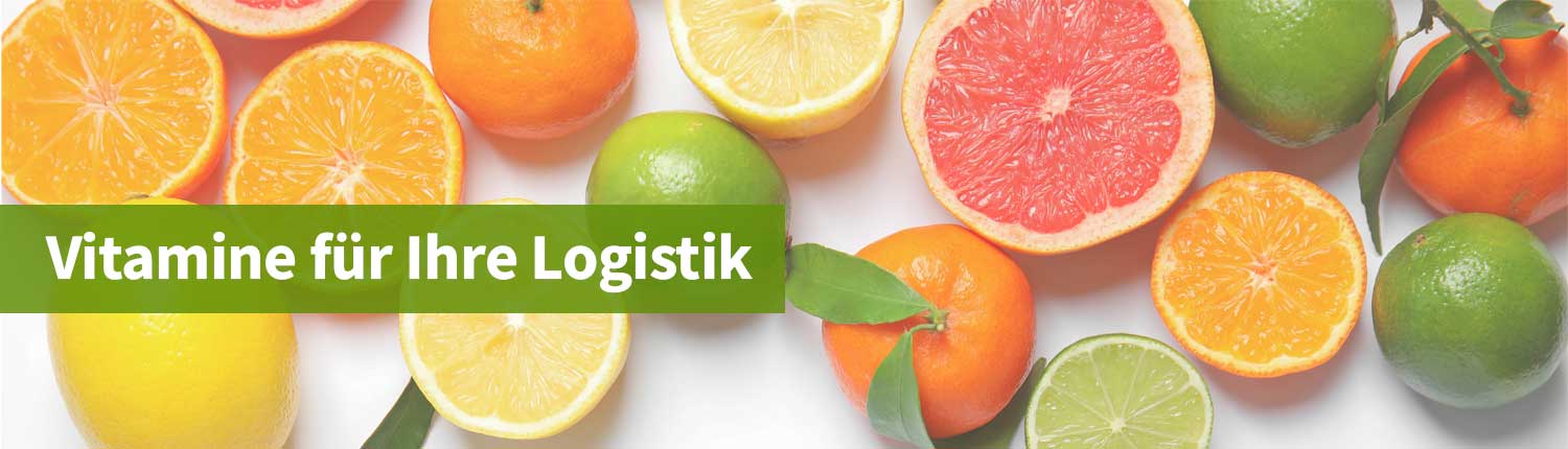 Vitamine-für-Ihre-Logistik-Integer-Solutions