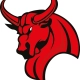 Integer Solutions ist Sponsor der Wetterau Bulls