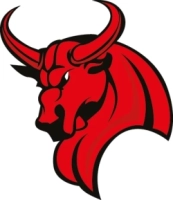 Integer Solutions ist Sponsor der Wetterau Bulls